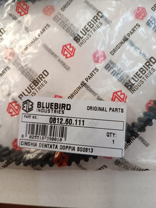 Cinghia Dentata Doppia SG0813 – Originale Blue Bird