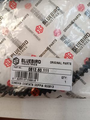 Cinghia Dentata Doppia SG0813 – Originale Blue Bird