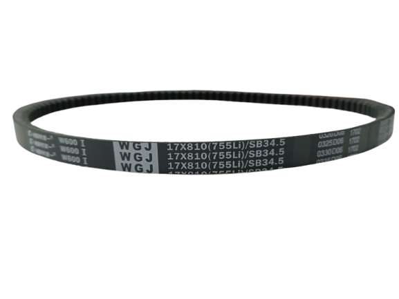 Cinghia Motore SG0813 – B813 - Originale Blue Bird Cinghia Motore SG0813 – B813 - Originale Blue Bird