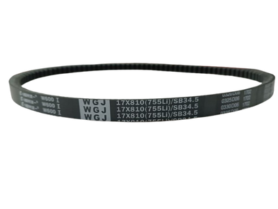 Cinghia Motore SG0813 – B813 - Originale Blue Bird Cinghia Motore SG0813 – B813 - Originale Blue Bird