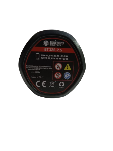 Batteria al Litio 10,8–12,6V Max 2,5A – Originale Blue Bird