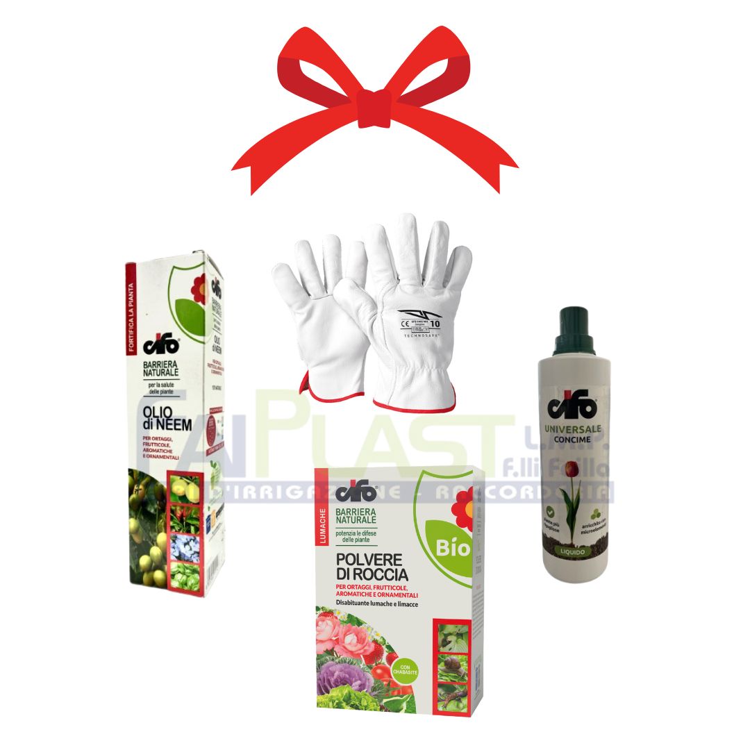 Kit PREMIUM FLOWERS – CIFO - Xmas Edition Kit PREMIUM FLOWERS – CIFO - Xmas Edition