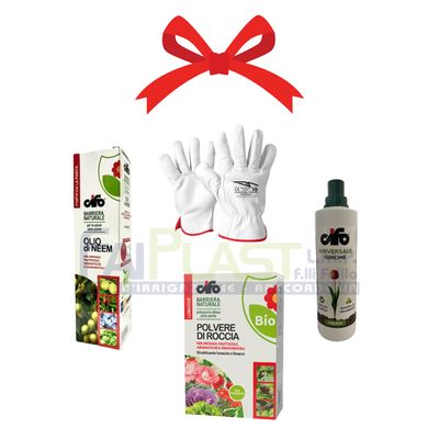 Kit PREMIUM FLOWERS – CIFO - Xmas Edition