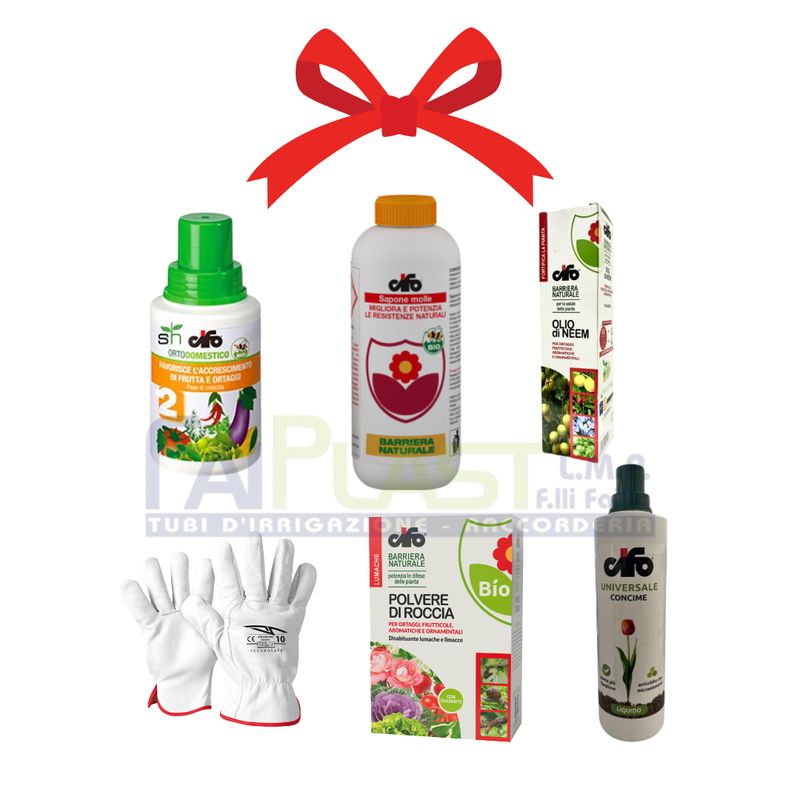 Kit PREMIUM ORTAGGI/FRUTTETO – CIFO – Xmas Edition Kit PREMIUM ORTAGGI/FRUTTETO – CIFO – Xmas Edition