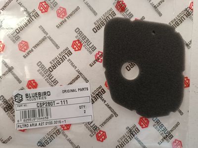 Filtro Aria A27.0100.0016-1 - Ricambio Originale Blue Bird