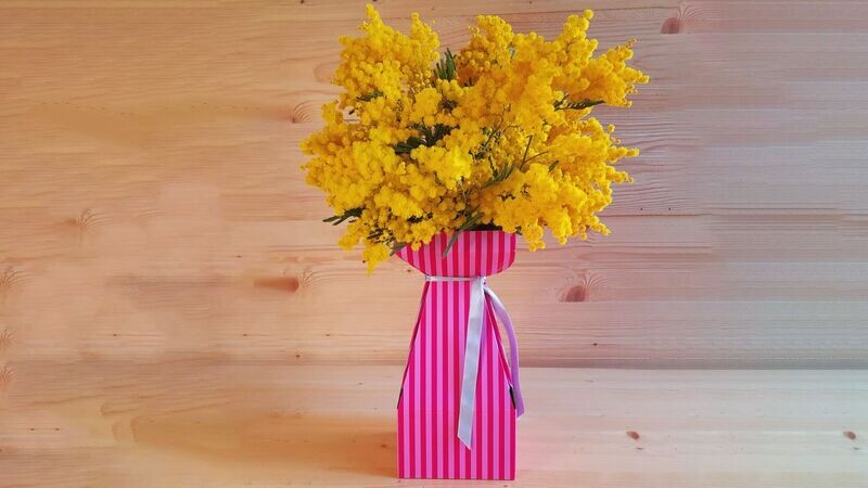 Bouquet di mimose