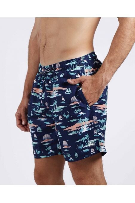 Boxer Hawaii