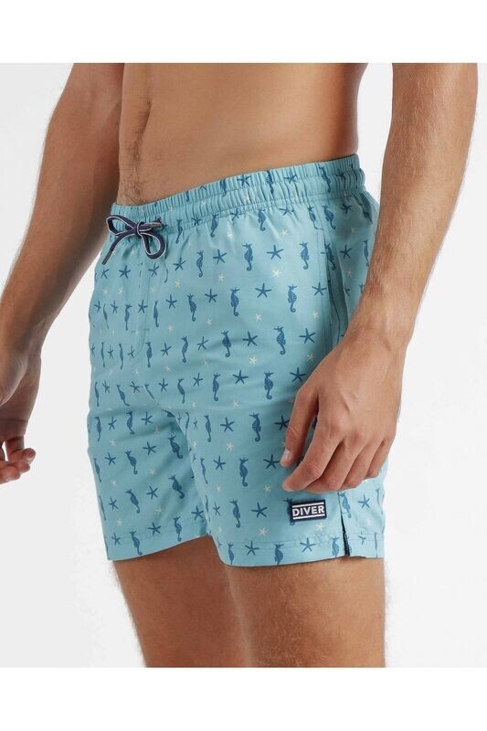 Boxer Seahorses