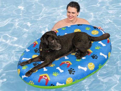 Fetchin' Fun - Materassino Gonfiabile Galleggiante per Cani