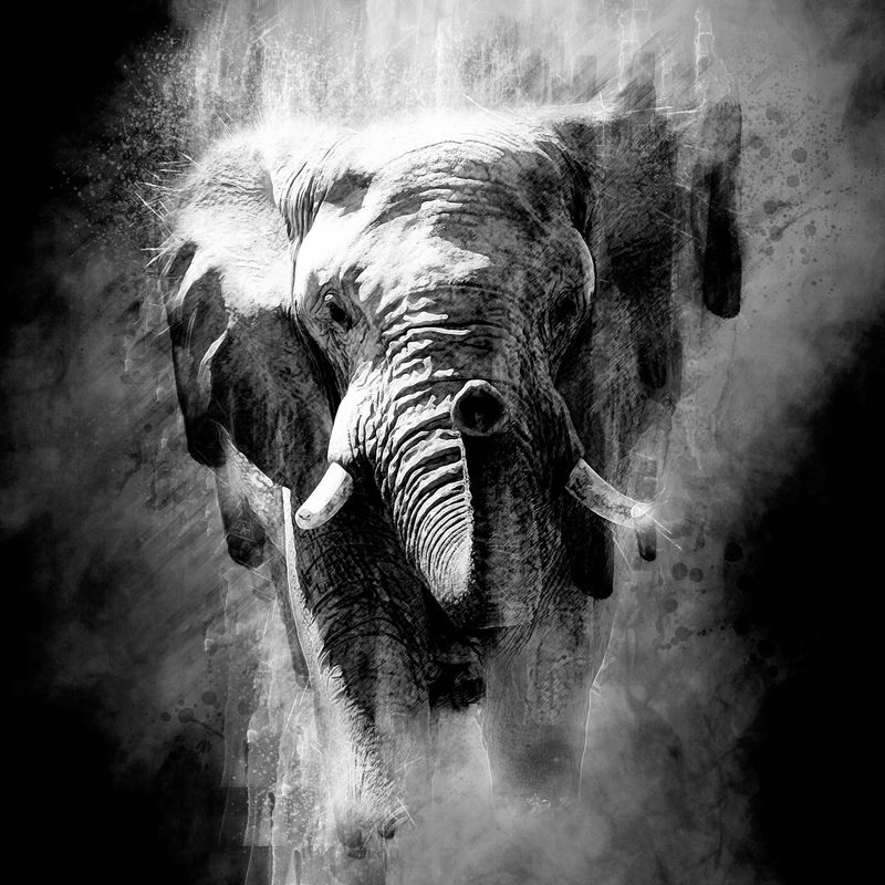 Estelle Robinson: charcoal and pastel At The Memorial Hall Art Studio, Hathaway Lane, Shottery, CV37 9BL Saturday 18th April 2026 10am-4pm Estelle Robinson: charcoal and pastel At The Memorial Hall Art Studio, Hathaway Lane, Shottery, CV37 9BL Saturday 18th April 2026 10am-4pm