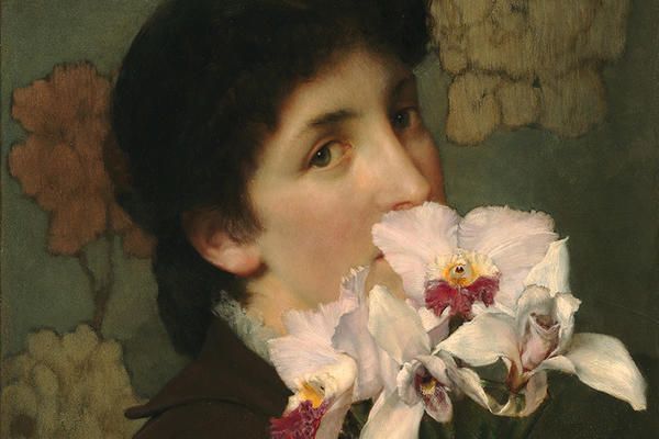 In Bloom Ashmolean Trip In Bloom Ashmolean Trip