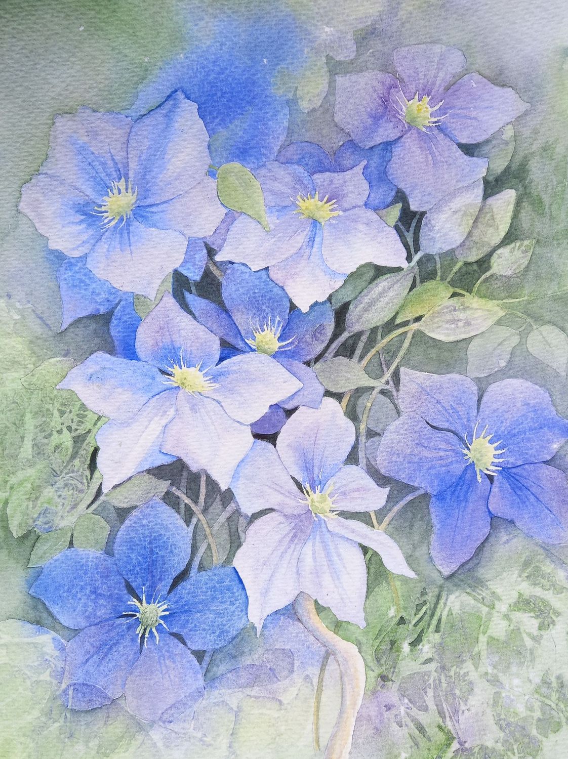 Kathryn Wickson Plants and Flowers in Watercolour ,  Thursday Afternoons, 2 - 4.30pm, Autumn  Term