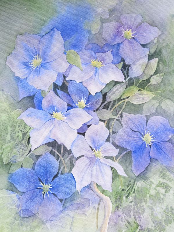 Kathryn Wickson Plants and Flowers in Watercolour , Thursday Afternoons, 3 - 5.30pm, Autumn Term Kathryn Wickson Plants and Flowers in Watercolour , Thursday Afternoons, 3 - 5.30pm, Autumn Term