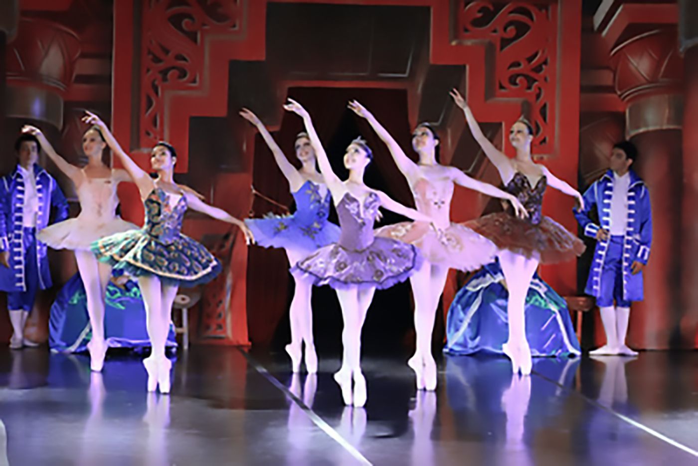 Dancer Donation Fund