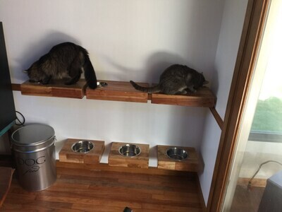 Unique Handmade Floating Cat Dish made from with 12 oz dish