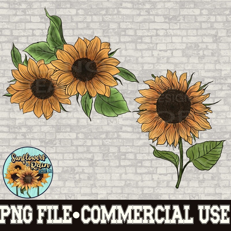 Sunflowers clipart Individual png files.