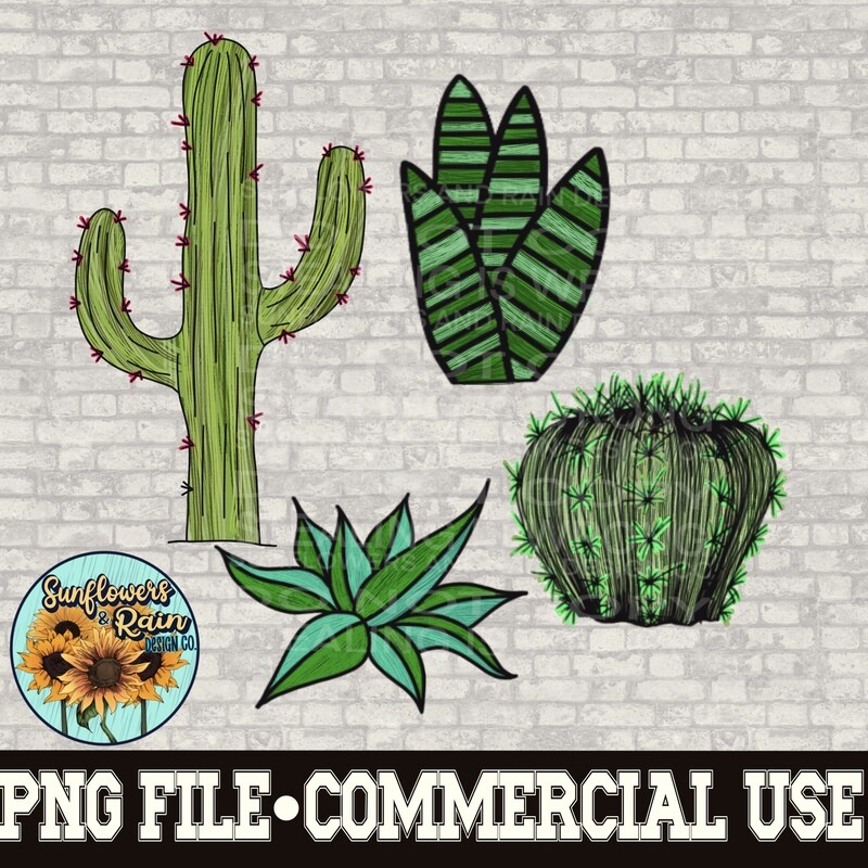 Succulent Bundle clipart Individual png files.