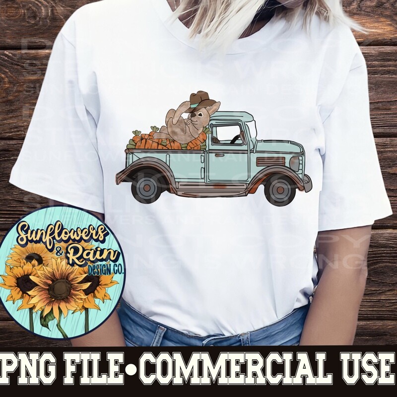 Cottagecore Rabbit on a vintage truck  png file  included  digital download, Sublimation design.