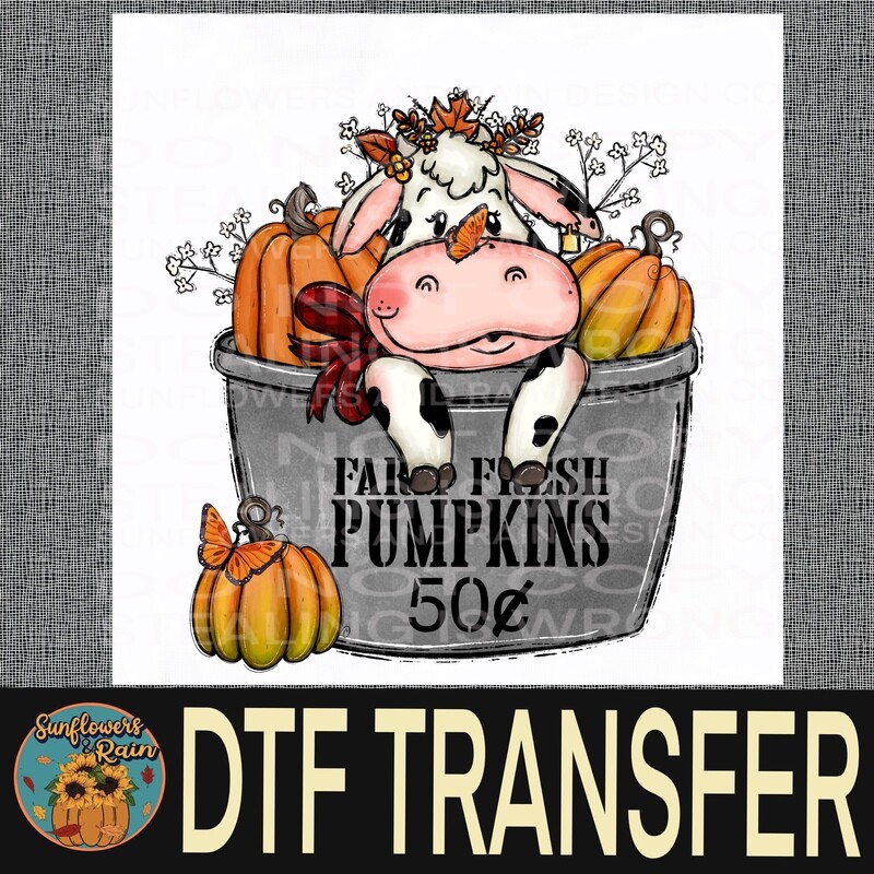 Cow fall pumpkins  Dtf transfer.
