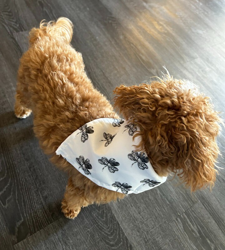 White Pet Bandana - Size Large