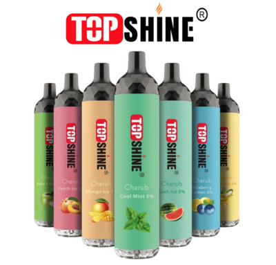 TOPSHINE DISPOSABLE