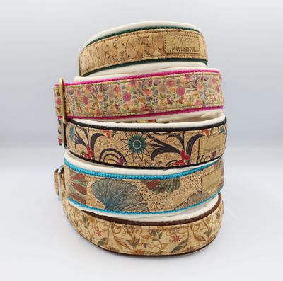 Collars and leashes