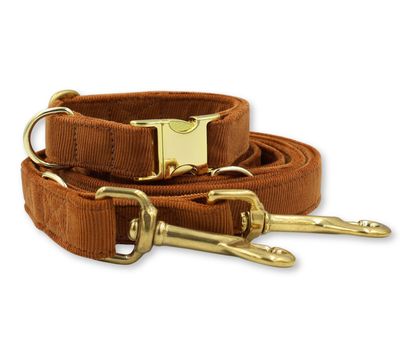 Halsbänder und Leinen