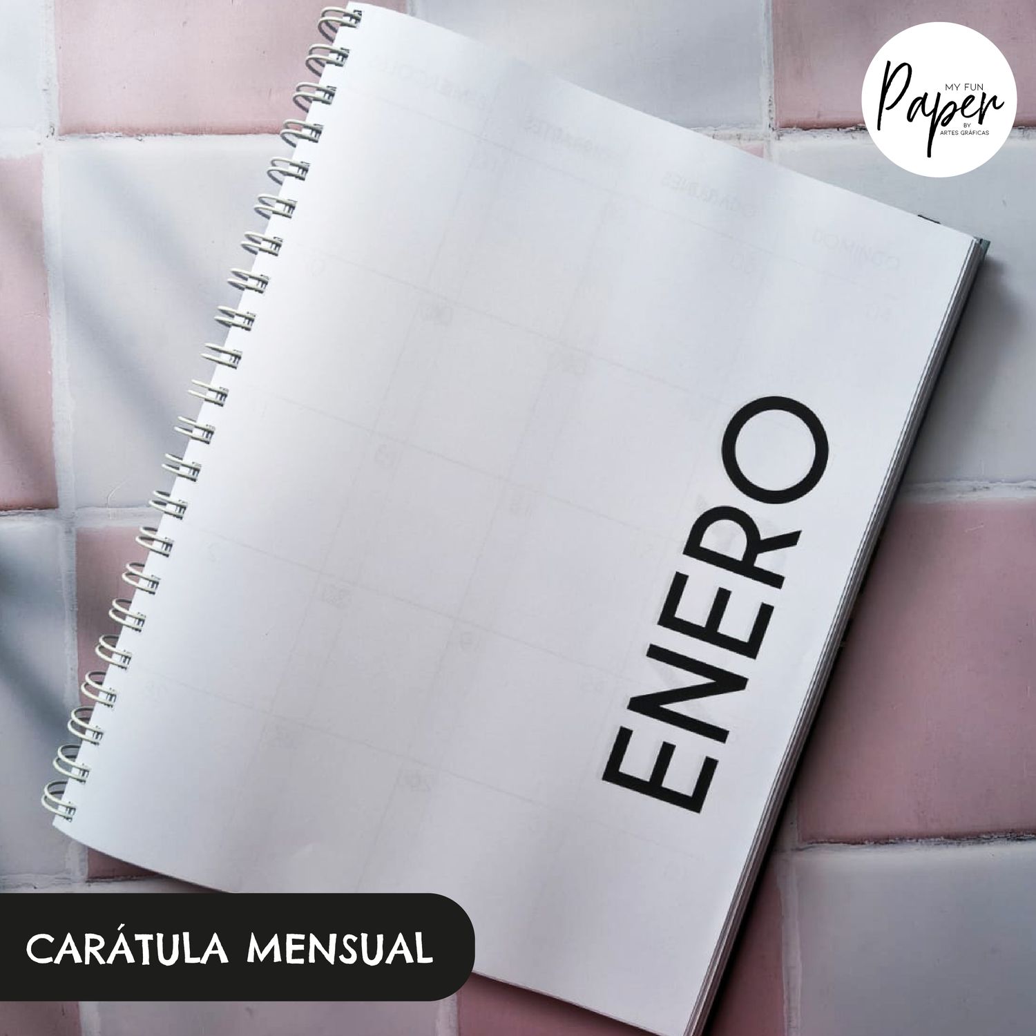 Modelo 2 DÍAS PÁGINA