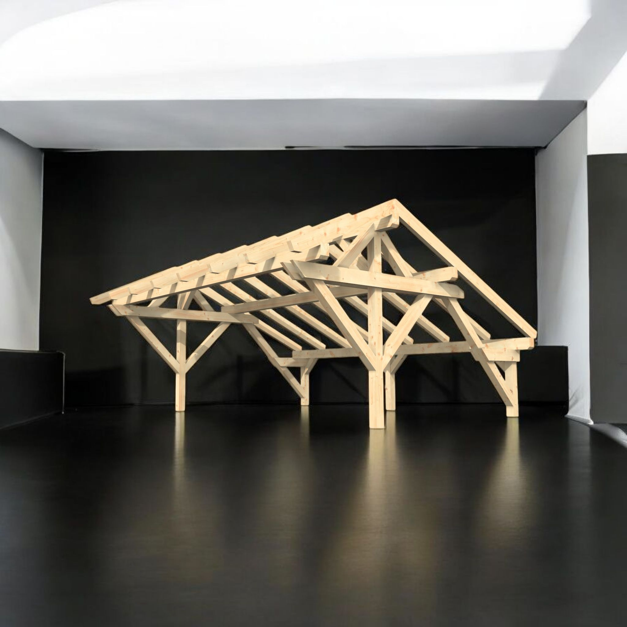 Carport Satteldach Typ3