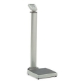 Health O Meter 599KL Digital Electronic Column Scale