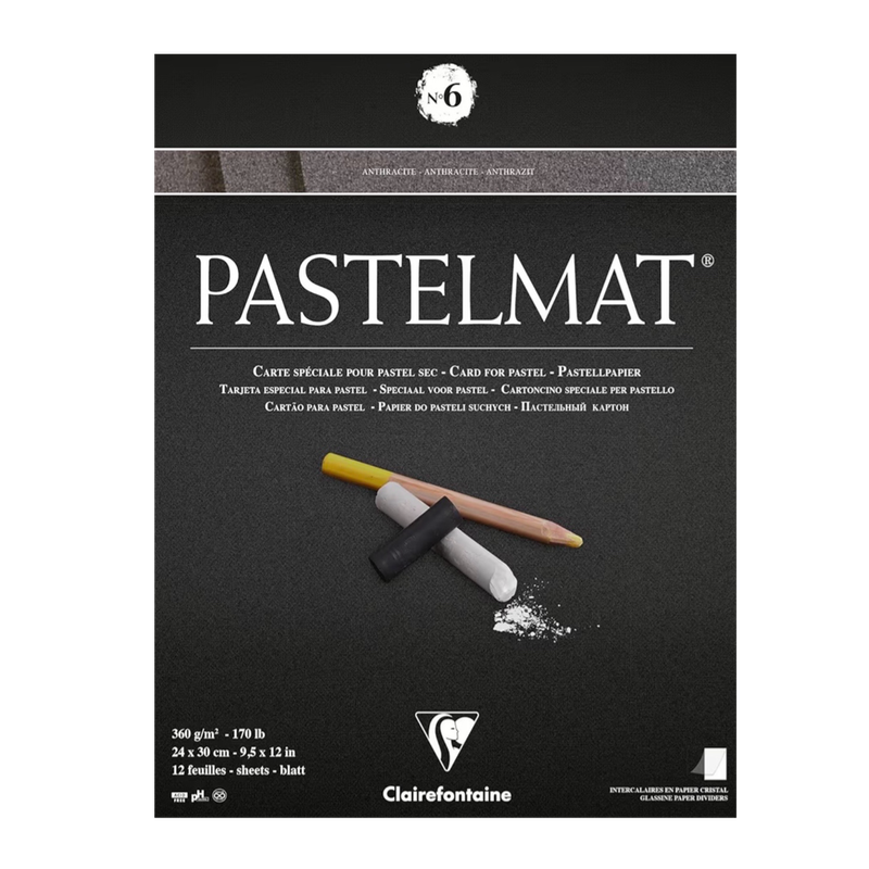 Clairefontaine Pastelmat Anthracite SINGLE Sheet