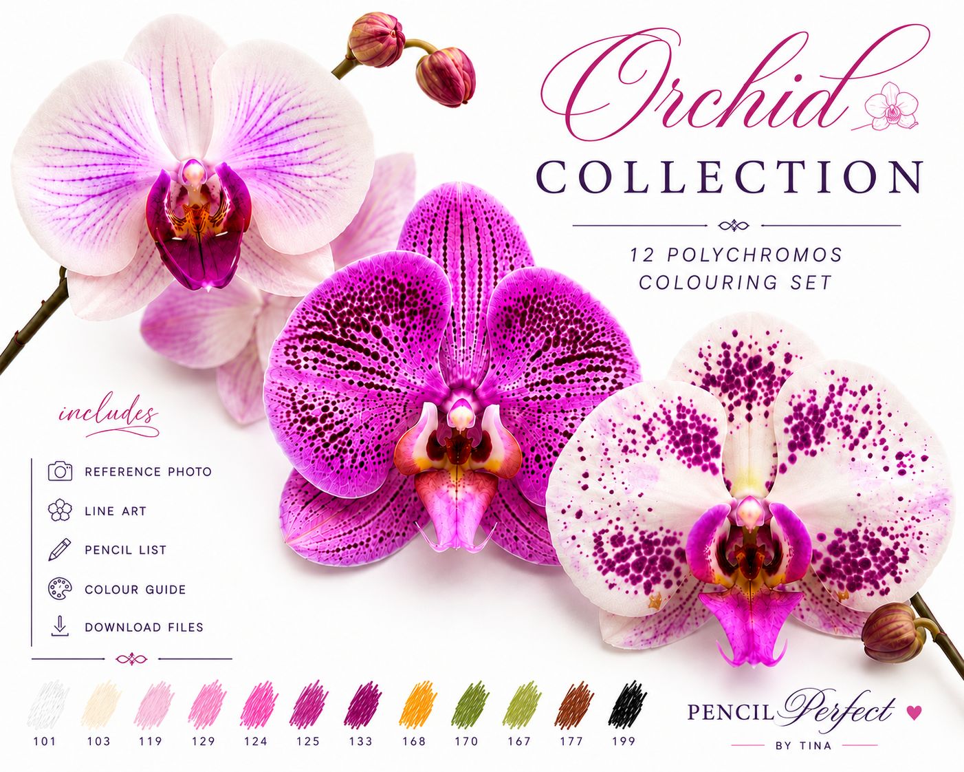 Orchid Collection Mini Set