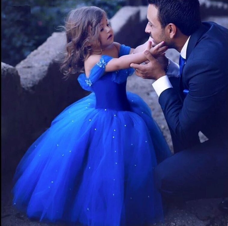 Cinderella Gown Crystal Rhinestone Bling Butterflies Royal Blue Flower Girl Dress