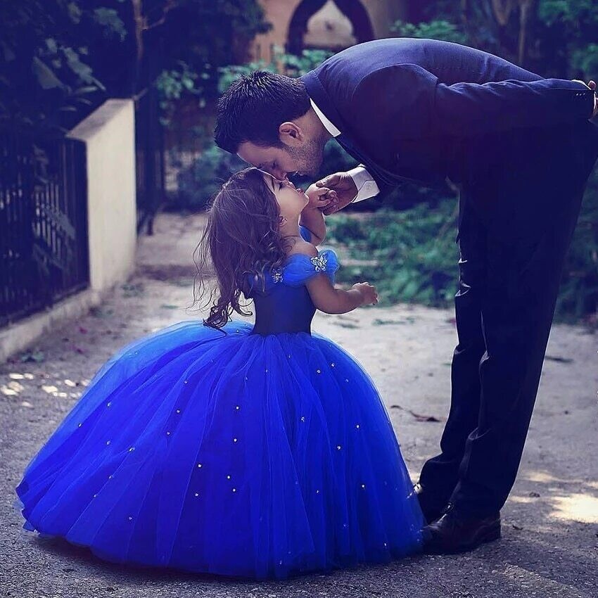 Cinderella Gown Crystal Rhinestone Bling Butterflies Royal Blue Flower Girl Dress