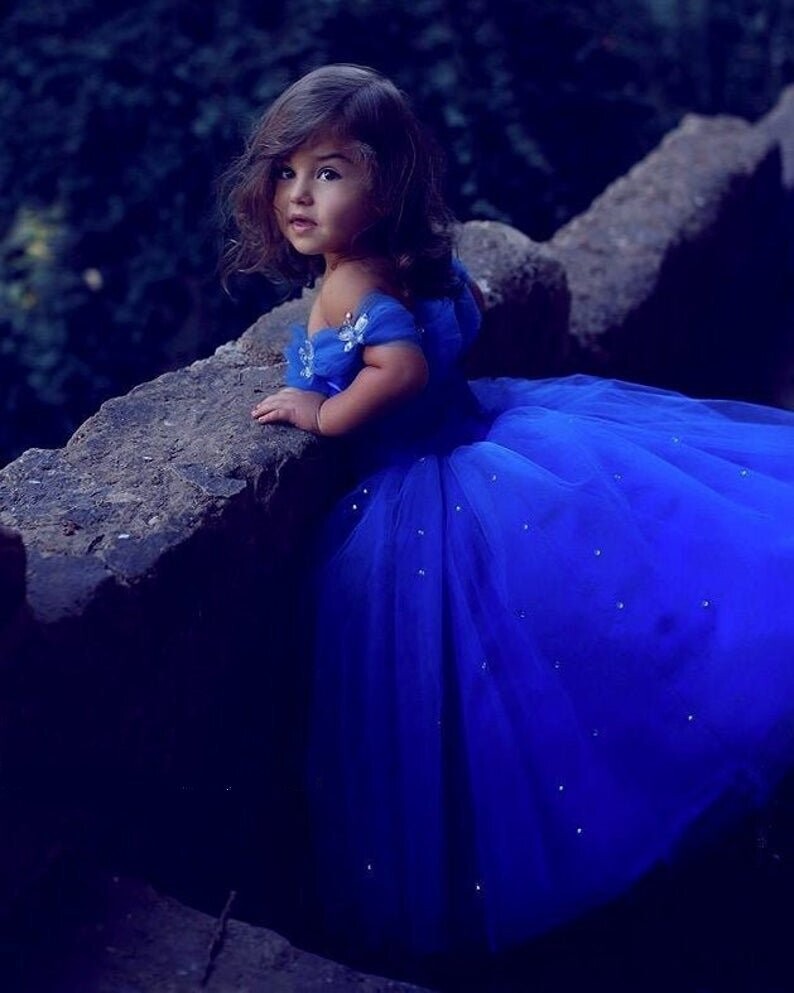 Cinderella Gown Crystal Rhinestone Bling Butterflies Royal Blue Flower Girl Dress