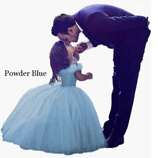 Cinderella Gown Crystal Rhinestone Bling Butterflies Royal Blue Flower Girl Dress