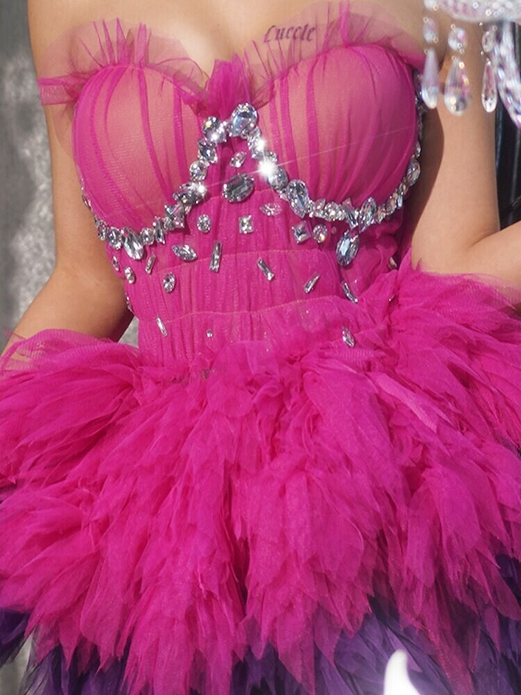 Swarovski Crystal Rhinestone Bling Show Girl Dance Costume Tutu