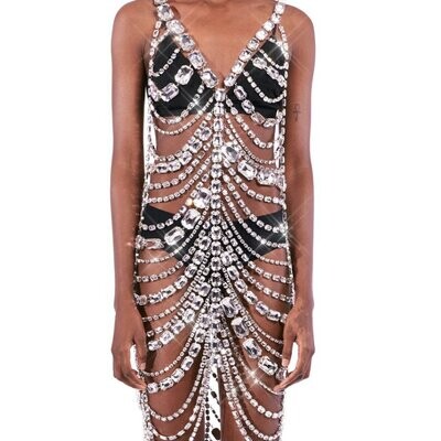 Swarovski Crystal Rhinestone Bling Dress: Silver