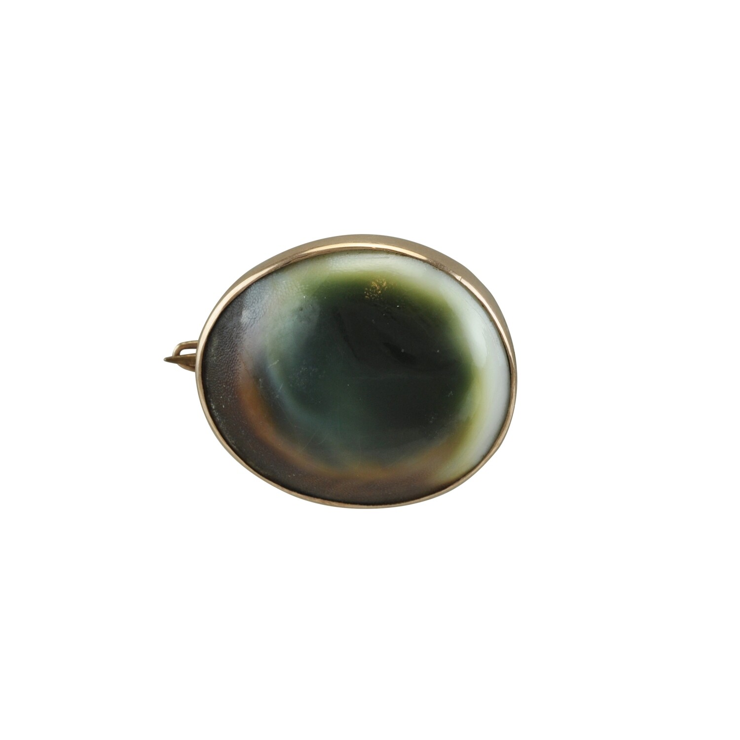 Operculum Brooch