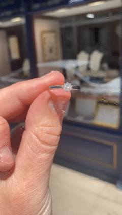 18ct and Platinum 0.30ct Diamond Engagement Ring