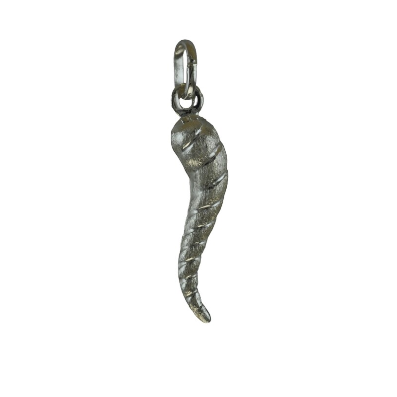 Horn Of Plenty Silver Pendant