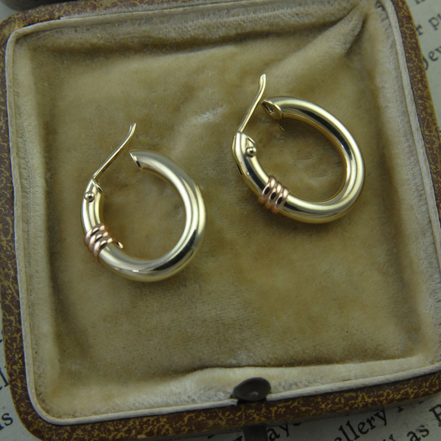 9ct Two Toned Hoops
