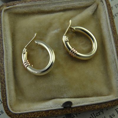 9ct Two Toned Hoops 9ct Two Toned Hoops