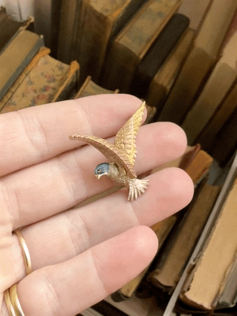 9ct and Enamel Hawk Brooch