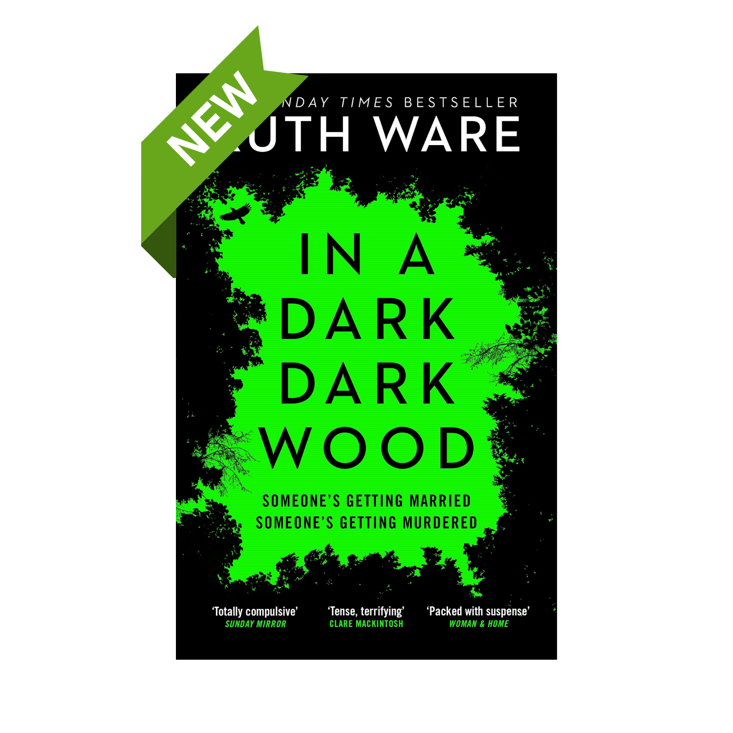 In a Dark, Dark Wood