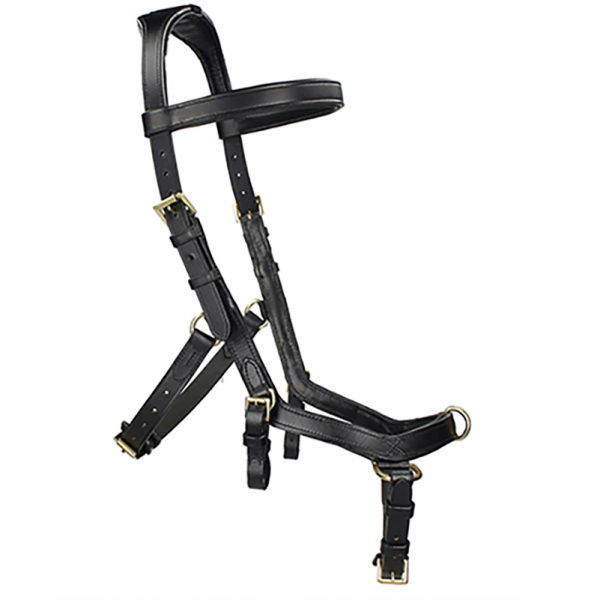 Astund Multibridle