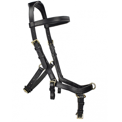 Astund Multibridle