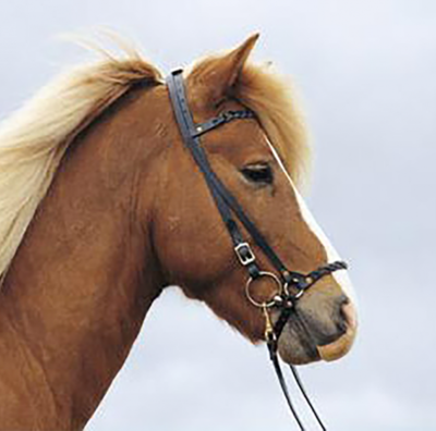 Astund Plaited Headstall