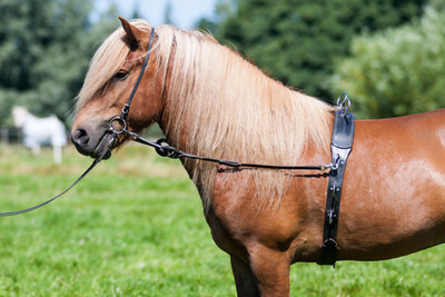 Karlslund Lungeing Girth w/Side Reins