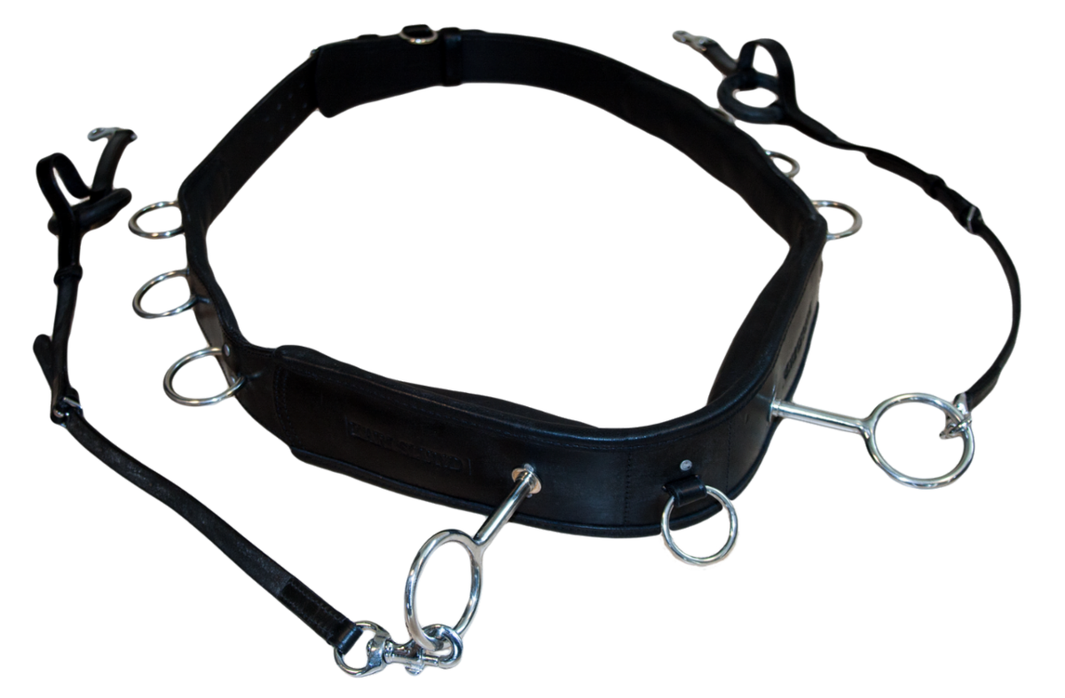 Karlslund Lungeing Girth w/Side Reins